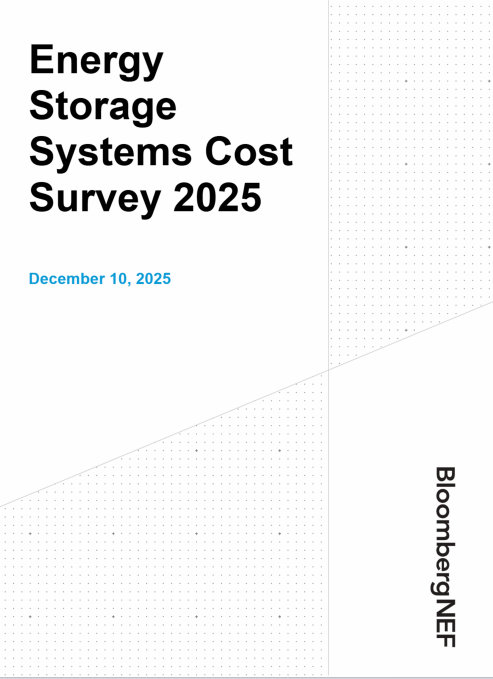 Energy Storage Systems Cost Survey 2025 - 学研学术